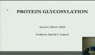VEPP online Lecture on The Importance of Sugars in Protein Function