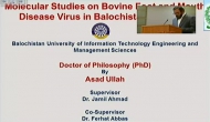 Molecular Studies On Bovine Food And Mouth Disease Virus In Balochistan Pakistan
