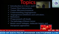 88 Etiology And Management Of Sudden Decline Disease Of Date Palm